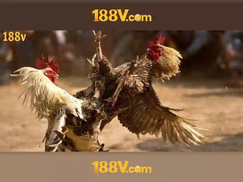 188v com tải app - Trải nghiệm và đánh giá chi tiết